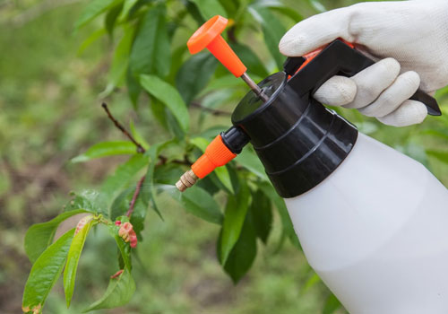 Fungicides