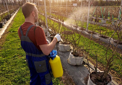 Herbicides