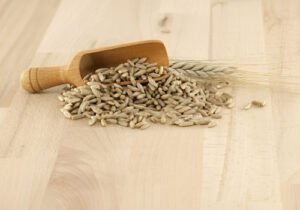 Rye