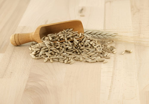 Rye