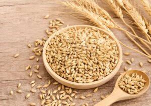 Wheat